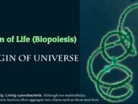 Origin of Life (Biopoiesis) and Origin of Universe
