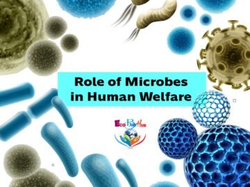 Role of Microbes in Human Welfare