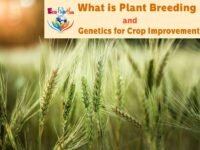What is Plant Breeding and Genetics for Crop Improvement_1